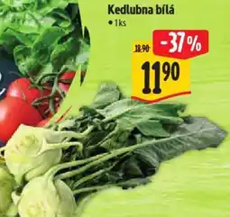 Albert Kedlubna bílá nabídka