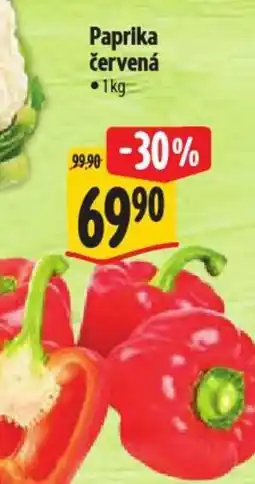 Albert Paprika červená nabídka