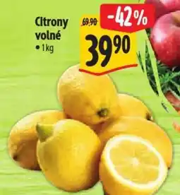 Albert Citrony volné nabídka