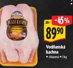 Albert Vodňanská kachna nabídka