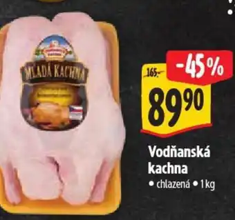 Vodňanská kachna