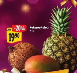 Albert Kokosový ořech nabídka