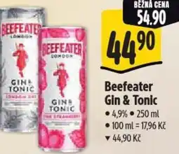 Albert Beefeater Gin & Tonic nabídka