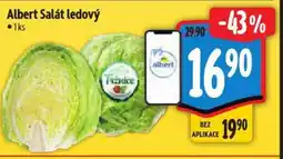 Albert Albert Salát ledový nabídka