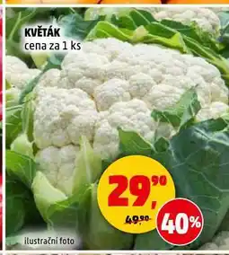 Penny Market Květák nabídka