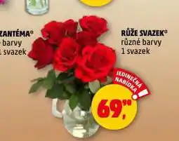 Penny Market Růže svazek nabídka