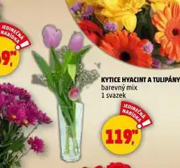Penny Market Kytice hyacint a tulipány nabídka