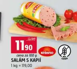 Terno SALÁM S KAPIÍ 1 kg 100g nabídka