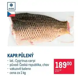 Makro Kapr půlený nabídka
