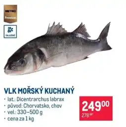 Makro Vlk mořský kuchaný nabídka