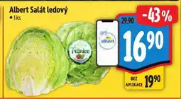 Albert Salát ledový nabídka