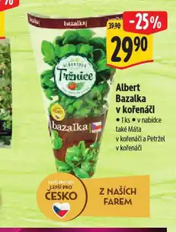 Albert Bazalka v kořenáči nabídka