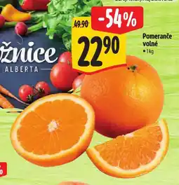 Albert Pomeranče nabídka