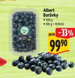 Albert Borůvky nabídka