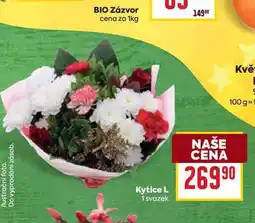 Billa Kytice L 1 svazek nabídka