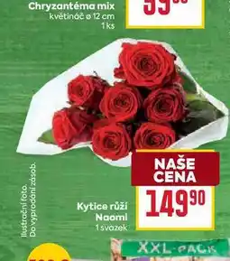 Billa Kytice růží Naomi 1 svazek nabídka