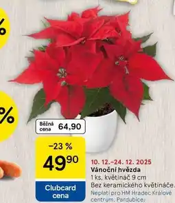 Tesco Vánoční hvězda, 1 ks, květináč 9 cm Bez keramického květináče nabídka