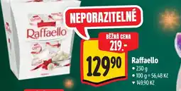 Albert Raffaello nabídka