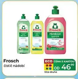 Tamda Foods Frosch čistič nádobí 1 ks nabídka