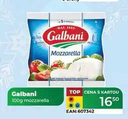 Tamda Foods Galbani mozzarella 100 g nabídka