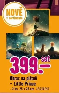 Hornbach Obraz na plátně - Little Prince nabídka