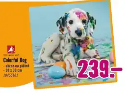 Hornbach Colorful Dog nabídka