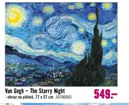 Hornbach Van Gogh The Starry Night nabídka