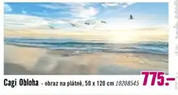 Hornbach Cagi Obloha - obraz na plátně nabídka