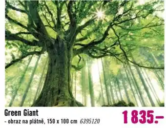 Green Giant - obraz na plátně