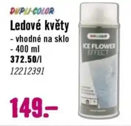 Hornbach Ledové květy nabídka