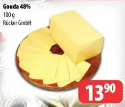 Partner Maloobchodní síť Gouda 48% nabídka