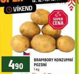 Terno Brambory konzumní pozdní 1 kg nabídka