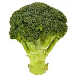 Terno Brokolice 500g nabídka