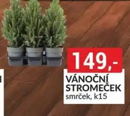 Baumax Vánoční stromeček nabídka