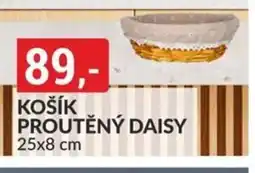 Baumax Košík proutěný daisy nabídka