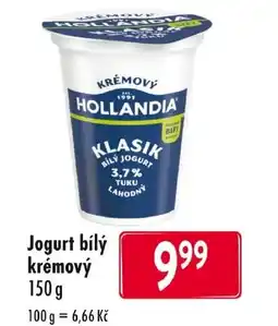 Qanto Hollandia Jogurt bílý krémový nabídka