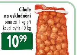 Qanto Cibule na uskladnění nabídka