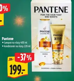 Albert Pantene nabídka