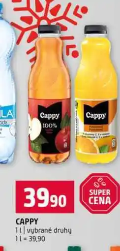 Terno Cappy 1l, vybrané druhy nabídka
