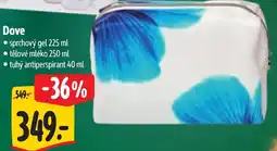 Albert Dove nabídka