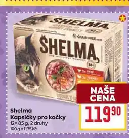 Billa Kapsičky pro kočky 12× 85 g nabídka