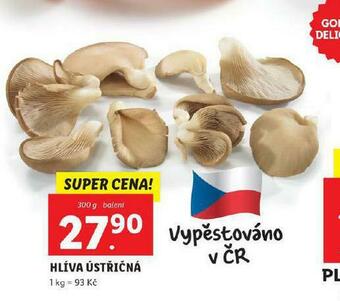 Lidl Hlíva ústřičná nabídka