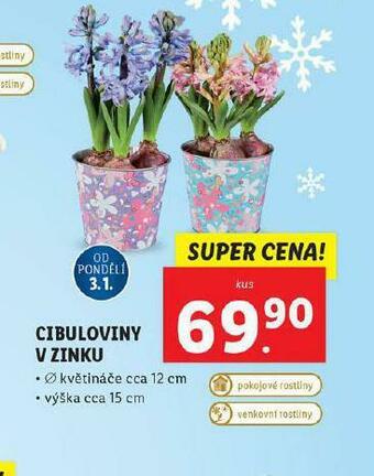 Lidl Cibuloviny v zinku nabídka