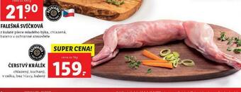 Lidl Čerstvý králík nabídka
