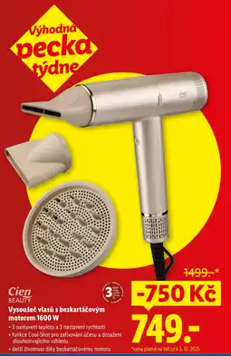 Lidl Vysoušeč vlasů s bezkartáčovým motorem 1600 W nabídka