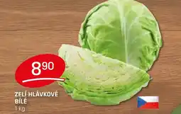 Flop Zelí hlávkové bílé nabídka