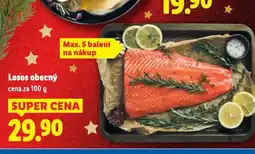 Lidl Losos obecný nabídka