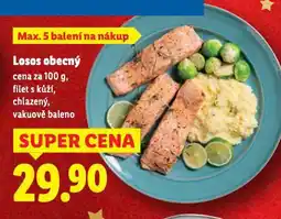 Lidl Losos obecný nabídka