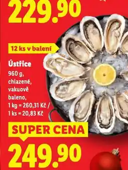 Lidl Ústřice nabídka