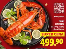 Lidl Humr americký nabídka